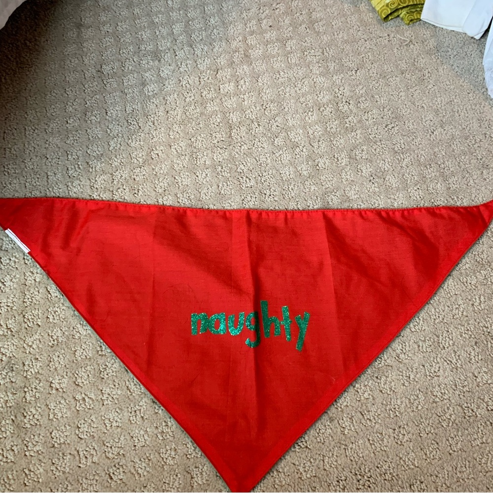 Reversible naughty/nice dog bandana